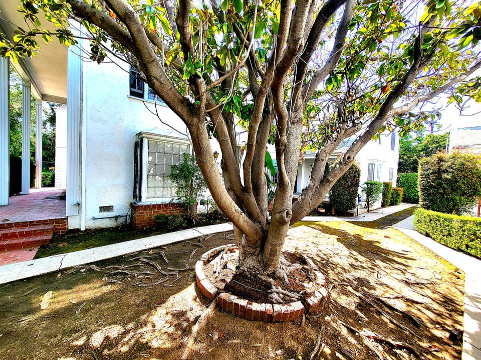 Courtyard outside apartment