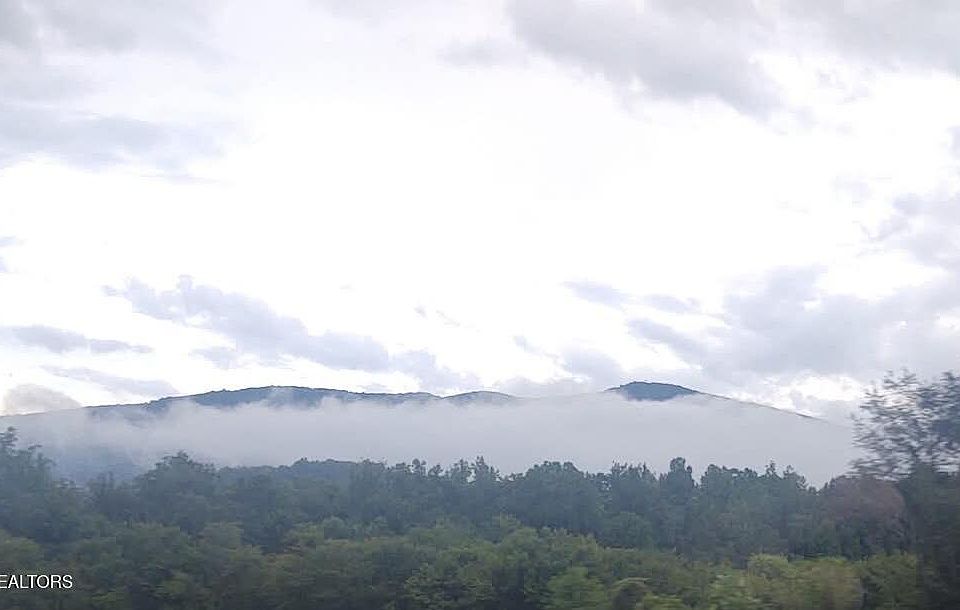 49th image of this home