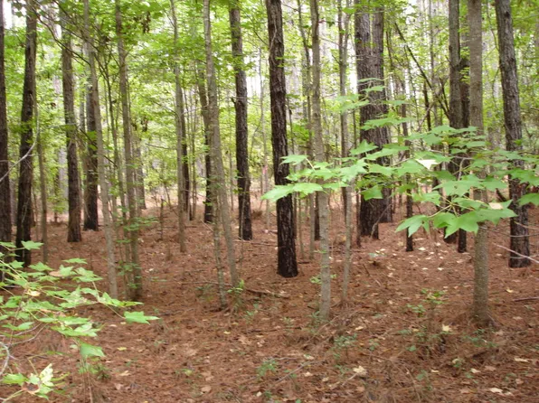 5350 Highway 174, Adams Run, SC 29426