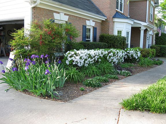 Front yard