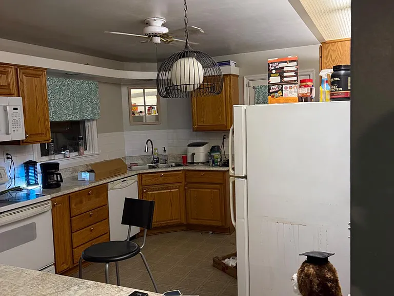 4305 Briggs Chaney Rd — Photo 5