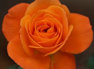 1533 Rock Springs Rd, San Marcos, CA 92069