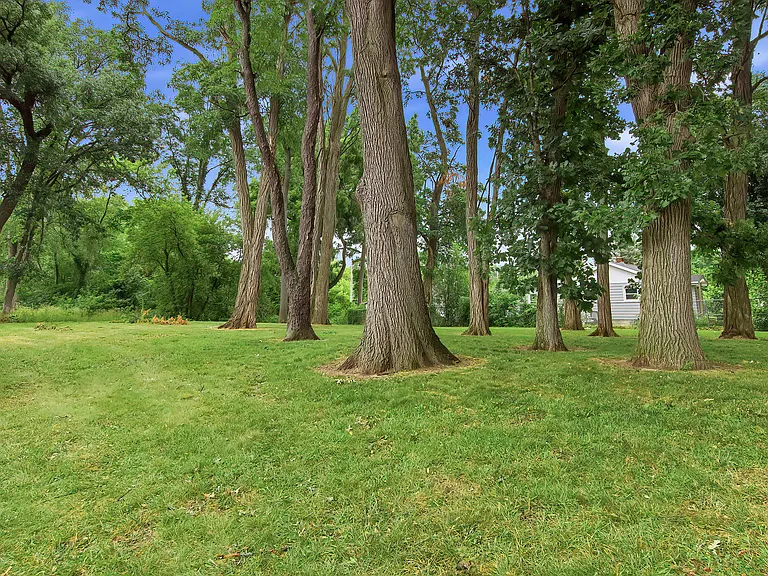 W1136 Celandine Rd — Photo 30