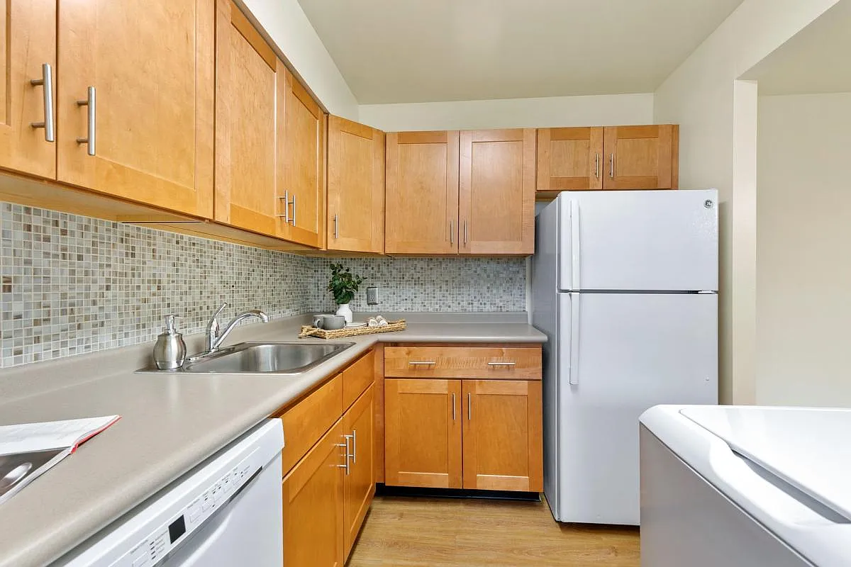 Springetts Apartments — Photo 4