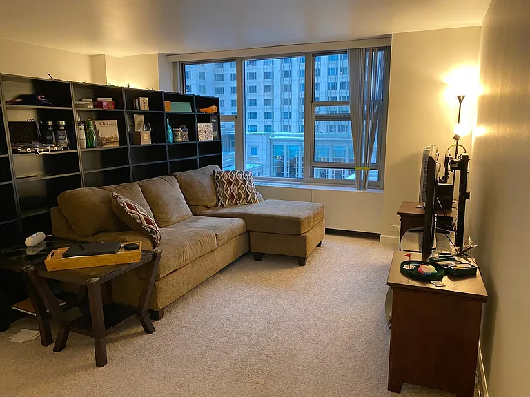 777 N Michigan Ave #1203 — Photo 2