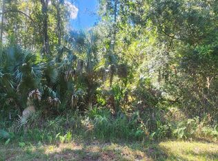 427 Dogwood Ave, Georgetown, FL 32139
