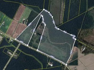 2681 & 2685 Old Manning Rd, Scranton, SC 29591