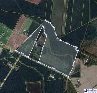 2681 & 2685 Old Manning Rd, Scranton, SC, 29591
