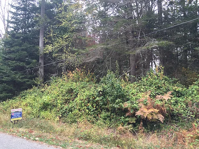 Churchill Dr photo 1