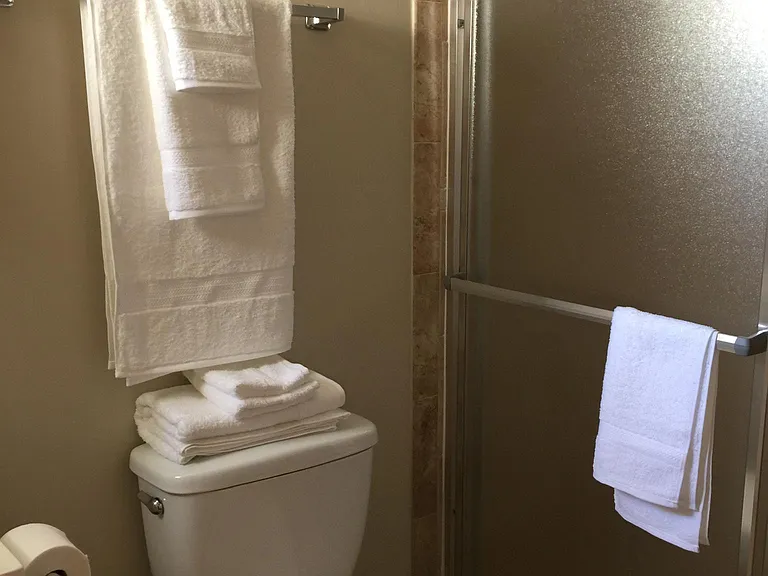 Master Bathroom with shower