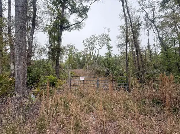 LOT 12 NE 355th Ave, Old Town, FL 32680