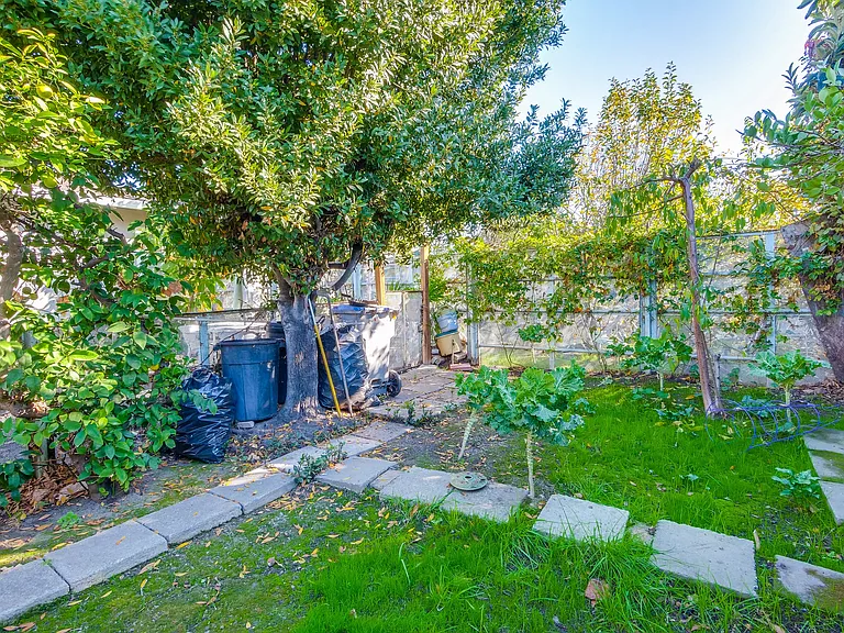 Side yard with fruits trees