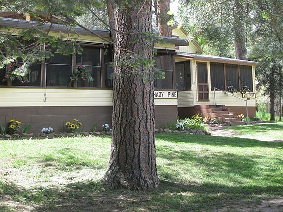 Shady Pine & Big Pine Cabins
