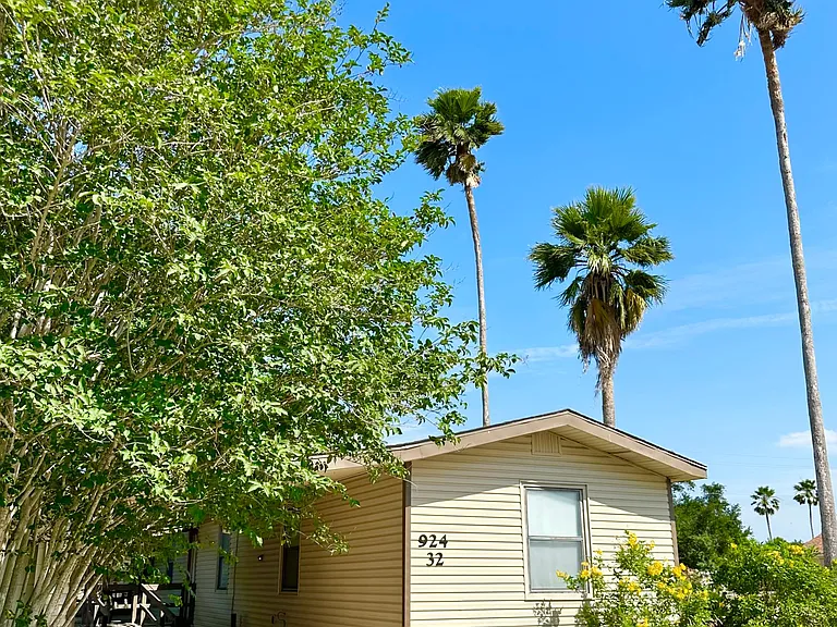 Palm grove-six 50 foot palm trees.
