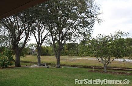 Majestic Back Yard
						:
						Orange trees, peaceful setting, waterfront view. Great for canoeing, or relaxing