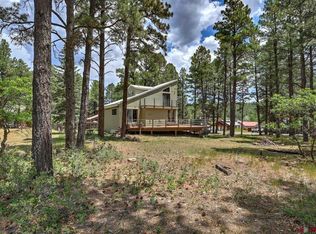 46 Carefree Pl, Pagosa Springs, CO 81147