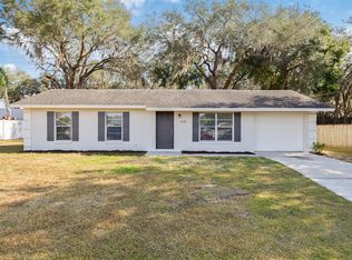 1238 Padgett Cir, Lady Lake, FL 32159