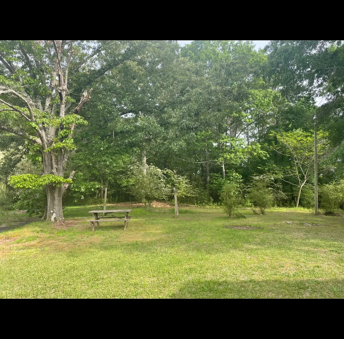 Emmaline St, Mount Gilead — Photo 2