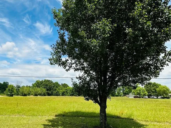 0 Stagecoach Rd, Effingham, SC 29541