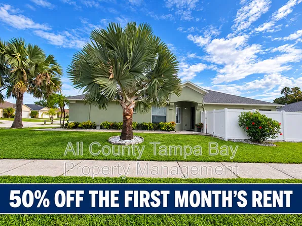 11747 Lynmoor Dr, Riverview, FL 33579
