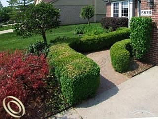 Brick paver sidewalk