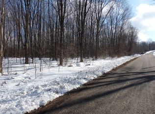 Main St, Bear Lake, MI 49614