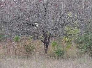 178 3 Mile Rd, Hessel, MI 49745