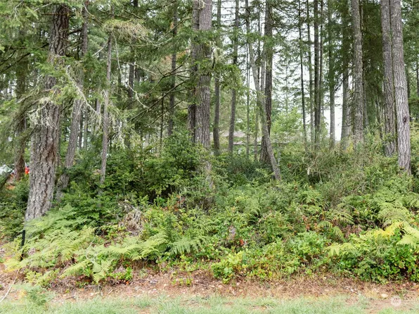 40 E Paint Brush Lane, Union, WA 98592