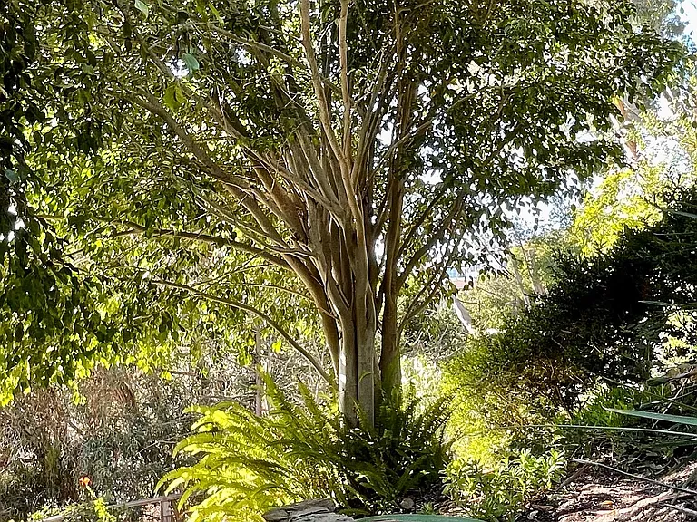 Ashton Dr — Photo 37
