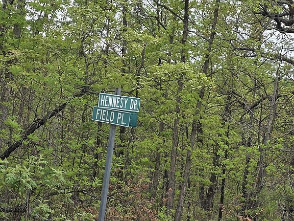 3rd image of LOT 1195 Ken Dr