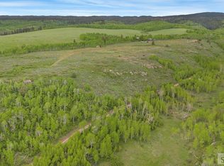 1542 W Rim Loop, Ashton, ID 83420