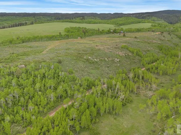 1542 W Rim Loop, Ashton, ID 83420