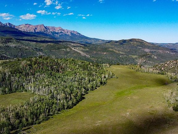 9757 County Road 5, Ridgway, CO 81432 | MLS #41094 | Zillow