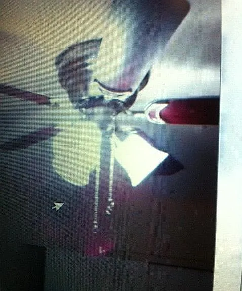 new ceiling fans