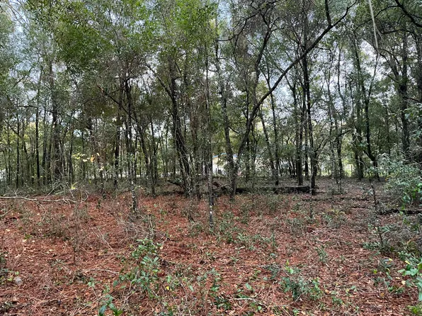 6335 Drake Avenue, Keystone Heights, FL 32656