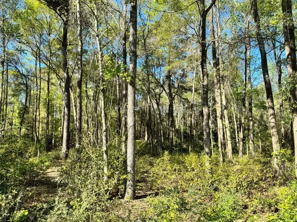 Railroad Ave, Shepherd, TX 77371