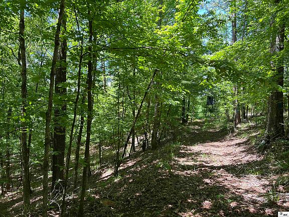 4th image of 0 Jinks Rd