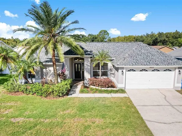 14919 Rocky Ledge Dr, Tampa, FL 33625