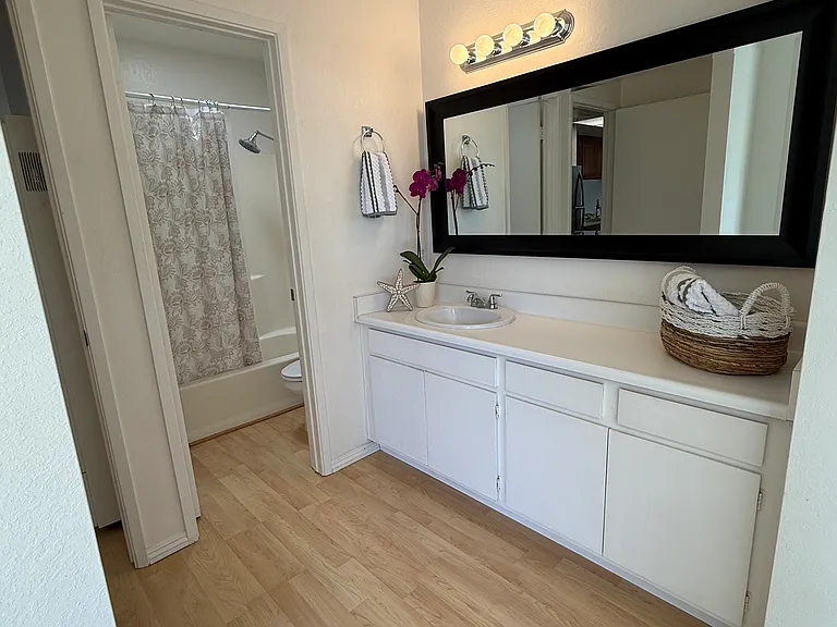 Master bedroom bathroom