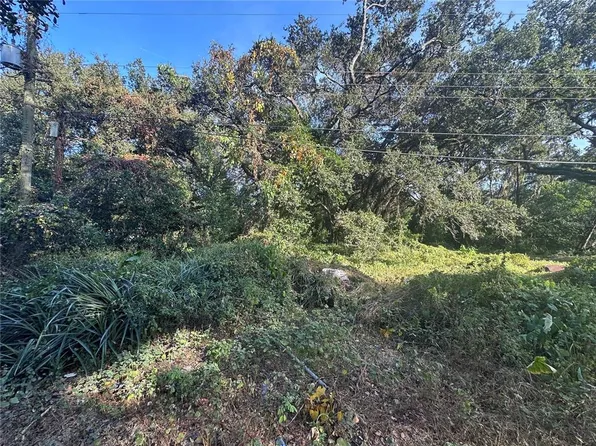 11911 Leroy Sheppard Rd, Thonotosassa, FL 33592