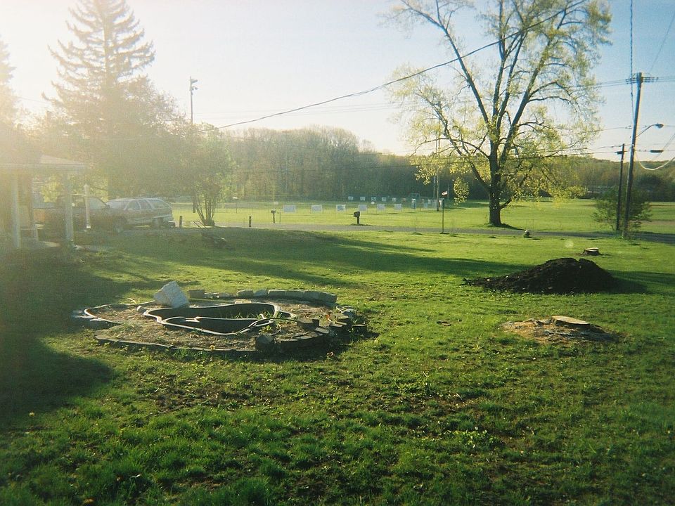 No trees, a wonderful spring morning!