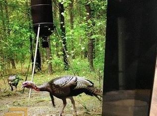 650 Smith Rocky Branch Rd, Carlton, GA 30627