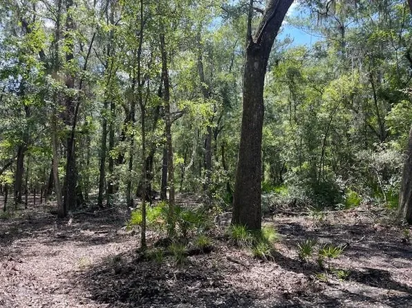 SW 6th Ter Lot 7, Micanopy, FL 32667