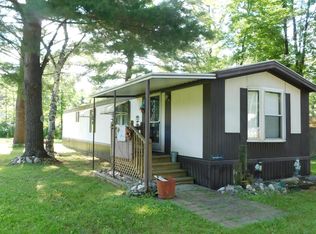 1615 S Sumac Ave, White Cloud, MI 49349