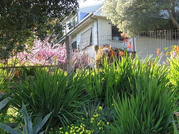 House seen from lower garden