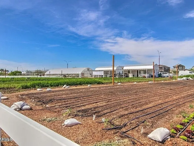 9854 E Red Giant Dr — Photo 25