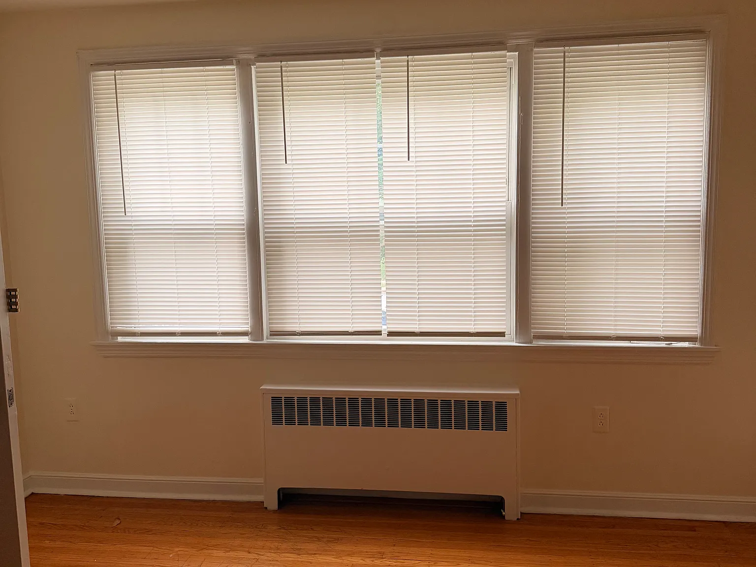 2 bed, 800 sqft, $1,425 — Photo 4