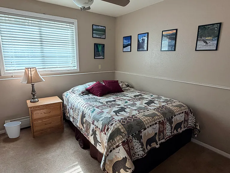 Queen bed downstairs