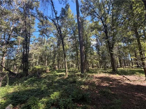 Strawberry Ln, Hammond, LA 70403