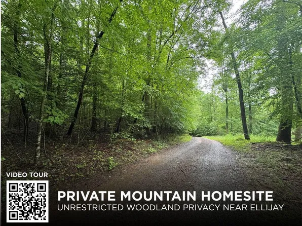 Bear Run Cir, Ellijay, GA 30540